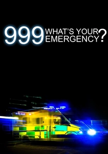 999: What's Your Emergency? (2012)
