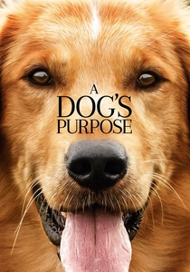 A Dog's Purpose (2017)