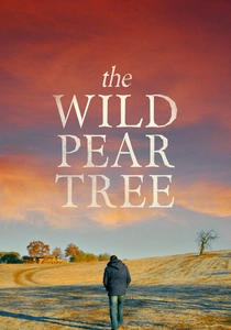The Wild Pear Tree (2018)