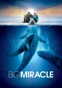 Big Miracle (2012)