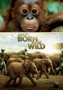 Born to Be Wild (2011)
