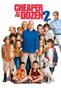 Cheaper by the Dozen 2 (2005)