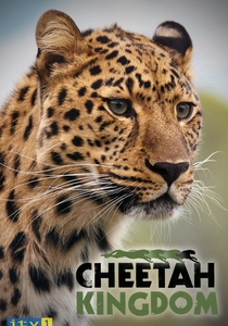 Cheetah Kingdom (2010)