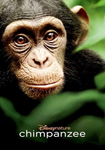 Chimpanzee (2012)
