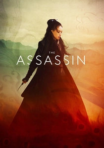 The Assassin (2015)