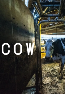Cow (2021)
