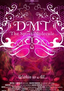 The Spirit Molecule (2010)
