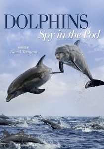 Dolphins: Spy in the Pod (2014)