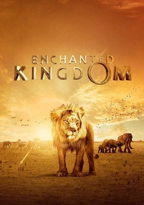 The Enchanted Kingdom (2014)
