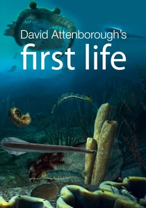 First Life (2010)