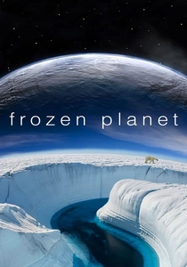Frozen (2010)