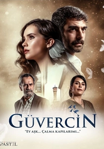 The Pigeon (2018)