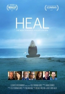 Heal (2017)
