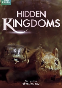 The Hidden Kingdom (2015)