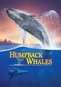 The Humpback Whales (2015)