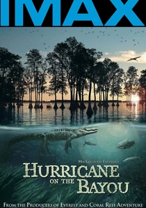 Hurricane on the Bayou (2006)