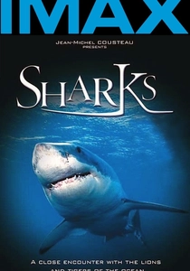 Sharks 3D (2004)