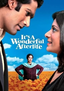 It's a Wonderful Afterlife (2010)
