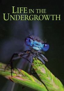 Life in the Undergrowth (2005)
