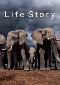 Life Story (2014)
