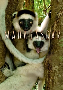 Madagascar (2011)