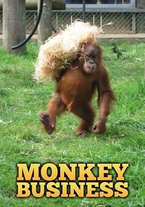 Monkey Business (1997)