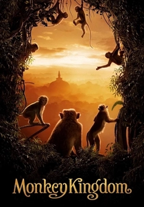 The Monkey King (2014)