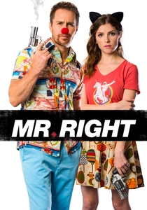 Mr. Right (2015)