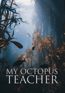My Octopus Teacher (2020)