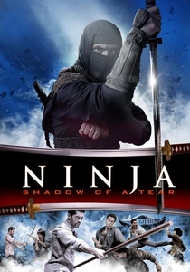 Ninja: Shadow of a Tear (2013)