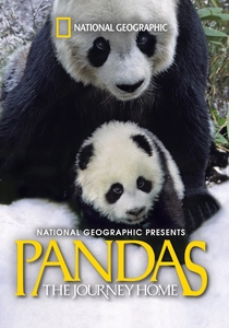 Pandas: The Journey Home (2014)