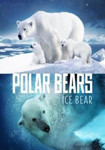 The Polar Bears (2012)