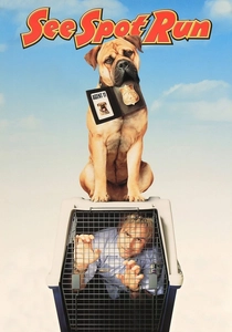 See Spot Run (2001)