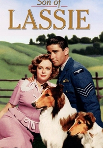 Son of Lassie (1945)