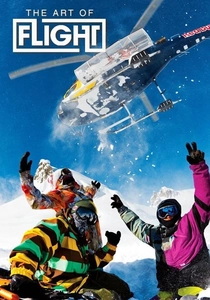 The Art of Flight (2011)