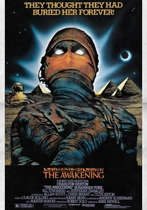 The Awakening (1980)