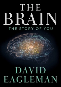 The Brain with David Eagleman (2015)