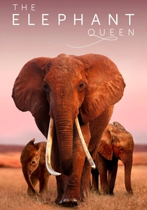 The Elephant Queen (2018)