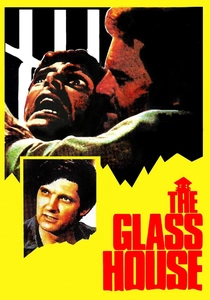 The Glass House (1972)