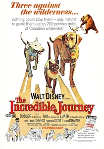 The Incredible Journey (1963)