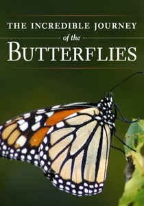 The Incredible Journey of the Butterflies (2009)