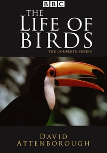 The Life of Birds (1998)