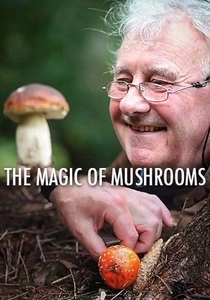 The Magic of Mushrooms (2013)