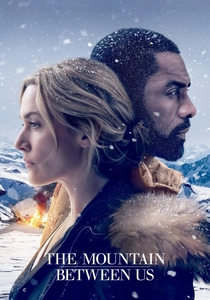 The Mountain Between Us (2017)