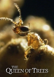 The Queen of Trees (2005)