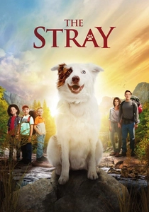 The Stray (2017)
