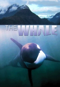 The Whale (2011)