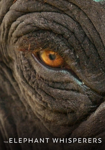 The Elephant Whisperers (2022)