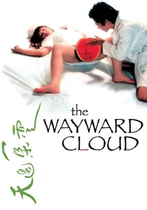 The Wayward Cloud (2005)
