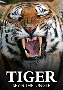 Tiger: Spy in the Jungle (2008)